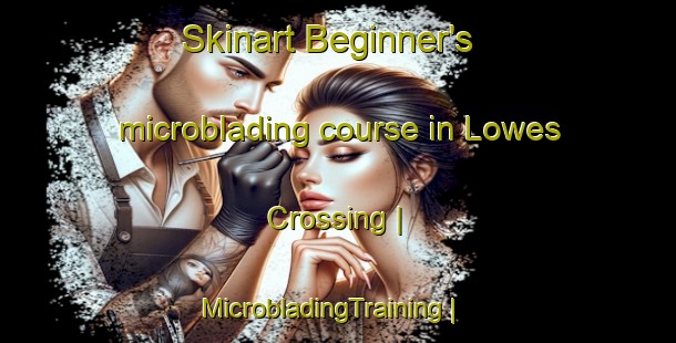 Skinart Beginner's microblading course in Lowes Crossing | MicrobladingTraining | MicrobladingClasses | SkinartTraining-United States